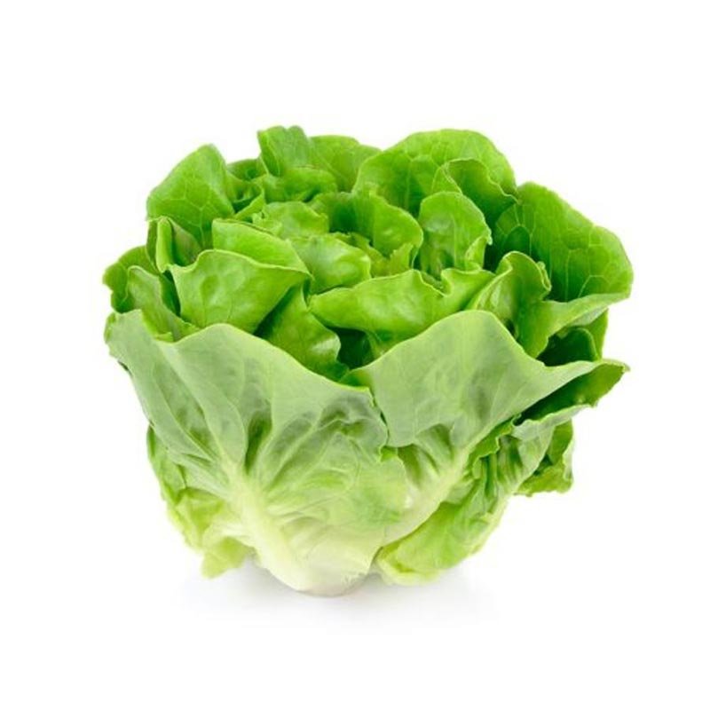 Kropsla