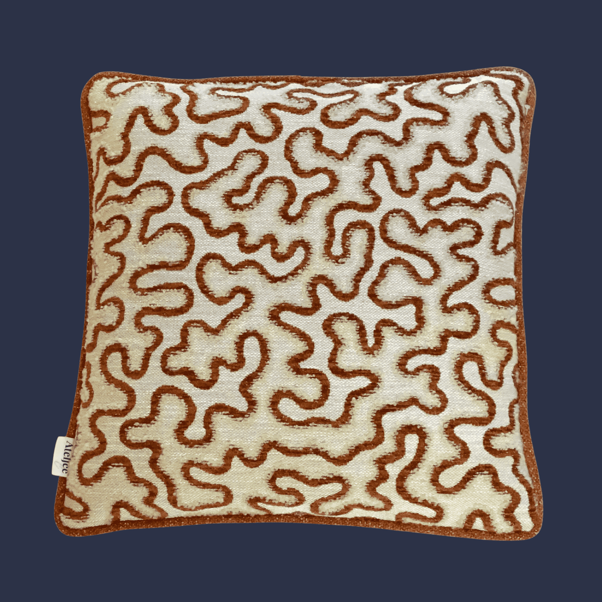 Coral Curve