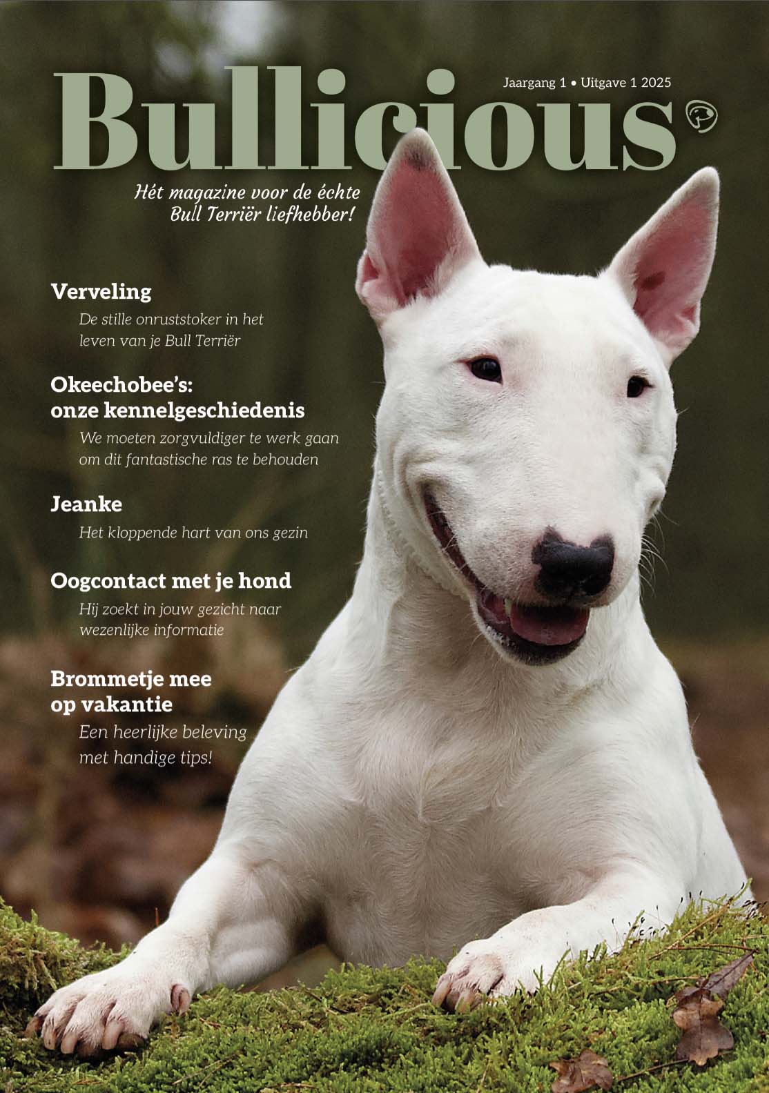 Bullicious Magazine