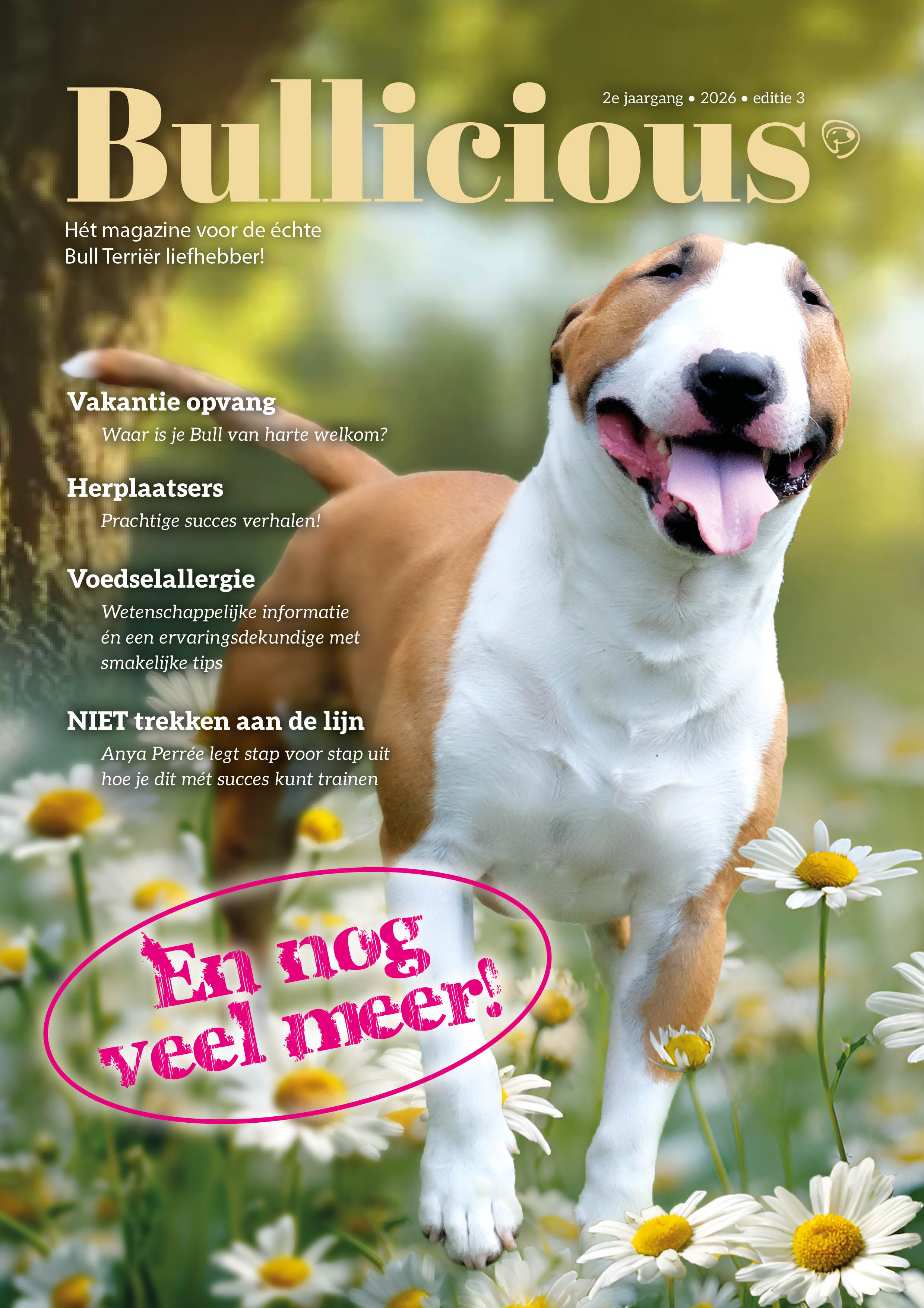 Bullicious Magazine Editie 3